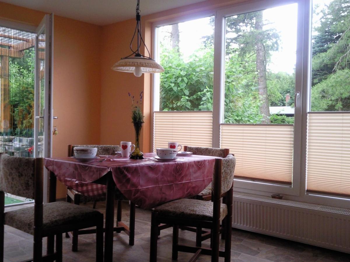 Ferienhaus Harzer Bauernhof Thale Buitenkant foto