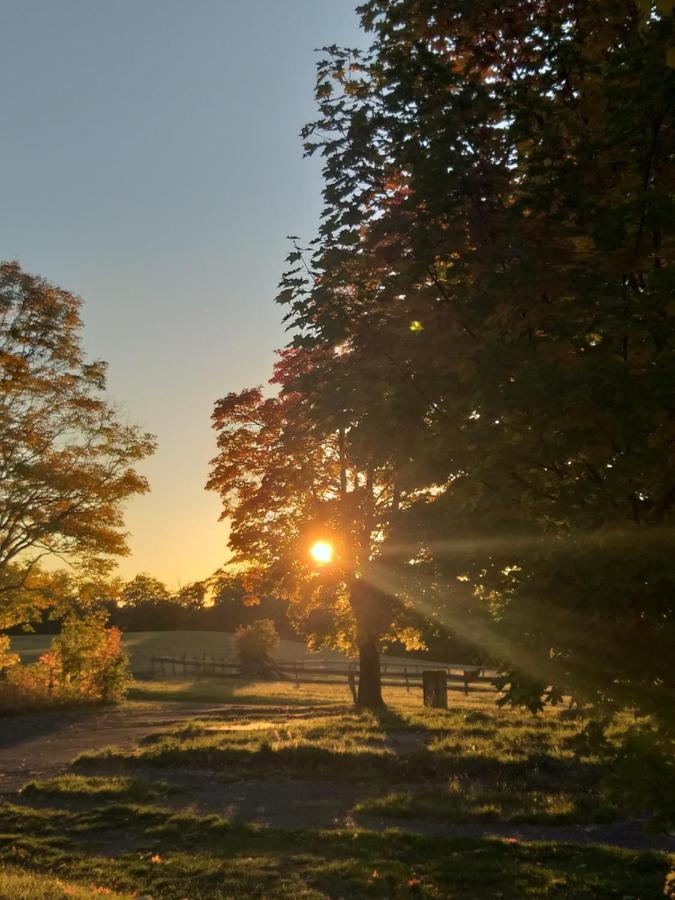Ferienhaus Harzer Bauernhof Thale Buitenkant foto